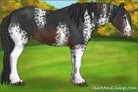 Horse Color:White Spotted Brown Varnish 