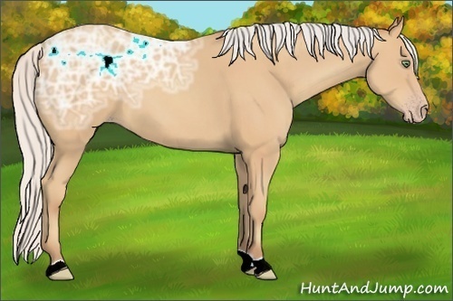 Horse Color:Silver Amber Champagne Ice