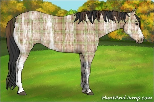 Horse Color:Plaid  Bay Ice 