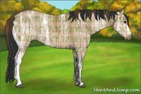 Horse Color:Plaid  Bay Ice 