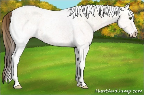 Horse Color:Plaid  White Spotted Amber Champagne Ice 