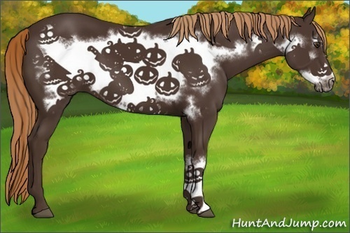 Horse Color:Liver Chestnut Frame 