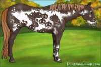 Horse Color:Liver Chestnut Frame 