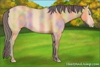 Horse Color:Nacre Amber Cream Champagne