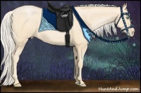 Horse Color:Palomino Pearl