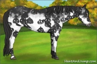 Horse Color:White Spotted Liver Chestnut Frame