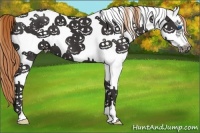 Horse Color:White Spotted Liver Chestnut Frame