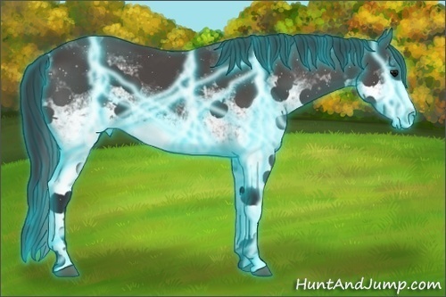 Horse Color:Thunderstruck White Spotted Black 