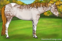 Horse Color:Painted Chestnut Ice Tobiano 