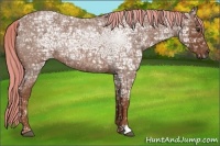 Horse Color:Painted Red Ice Roan 