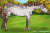 Horse Color:Painted Liver Chestnut Ice
