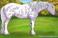 Horse Color:Watercolor Silver Sable Champagne Tobiano Appaloosa
