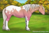 Horse Color:Silver Sable Champagne Tobiano Blanket