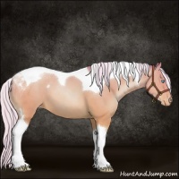 Horse Color:Watercolor Silver Sable Cream Champagne Pearl Tobiano Appaloosa 
