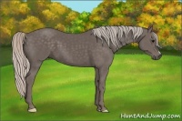 Horse Color:Silver Black 