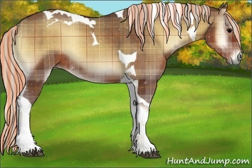Horse Color:Painted Plaid  Silver Blue Onyx Tobiano Rabicano 