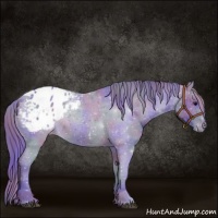 Horse Color:Nacre Watercolor Black Appaloosa 