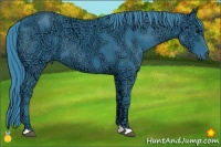 Horse Color:Watercolor Black Ice 