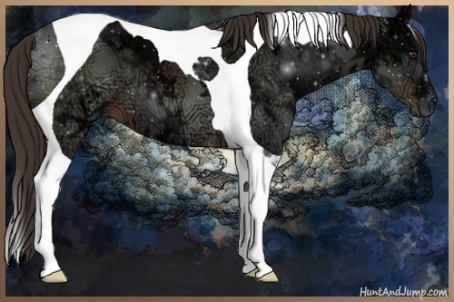 Horse Color:Liver Chestnut Ice Tobiano 