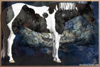 Horse Color:Liver Chestnut Ice Tobiano