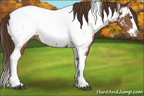 Horse Color:Liver Chestnut Sabino Splash Tobiano Near Fewspot