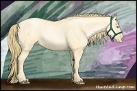 Horse Color:Buckskin Roan Pearl and Buckskin Roan Pearl