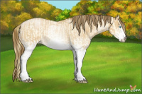 Horse Color:White Spotted Buckskin Roan Pearl  and Gray White Spotted Buckskin Roan Pearl 