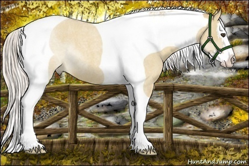 Horse Color:Palomino Roan Dun Splash Tobiano 