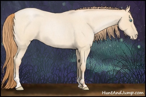 Horse Color:Buckskin Roan Pearl  and Buckskin Roan Pearl 