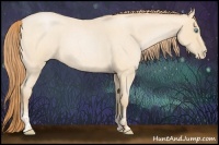 Horse Color:Buckskin Roan Pearl  and Buckskin Roan Pearl 