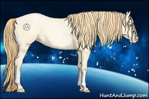 Horse Color:Buckskin Roan Pearl Dun  and Buckskin Roan Pearl Dun 