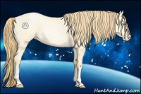 Horse Color:Buckskin Roan Pearl Dun  and Buckskin Roan Pearl Dun 