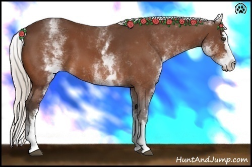 Horse Color:White Spotted Silver Bay Splash 