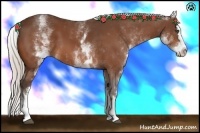 Horse Color:White Spotted Silver Bay Splash 