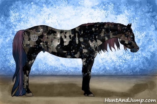 Horse Color:ERROR: UNKNOWN ANOMALY and ERROR: UNKNOWN ANOMALY