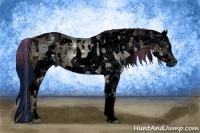 Horse Color:ERROR: UNKNOWN ANOMALY and ERROR: UNKNOWN ANOMALY