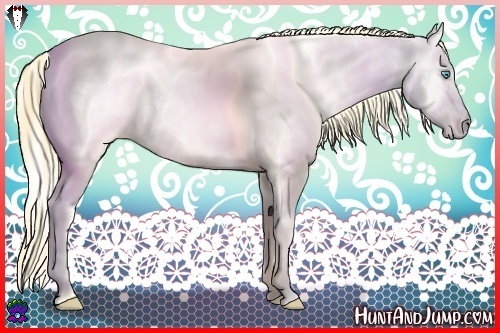 Horse Color:Amber Cream Champagne Roan Pearl Dun  and Amber Cream Champagne Roan Pearl Dun Rabicano 