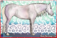 Horse Color:Amber Cream Champagne Roan Pearl Dun and Amber Cream Champagne Roan Pearl Dun Rabicano