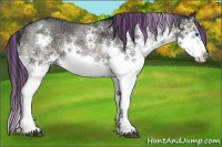 Horse Color:Painted Blue Onyx Ice Roan Splash Rabicano