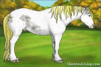 Horse Color:Painted Blue Onyx Ice Pearl Sabino Splash Tobiano