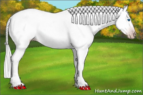 Horse Color:Gray Silver Amber Cream Champagne Roan Dun Splash Tobiano Frame Appaloosa Rabicano 