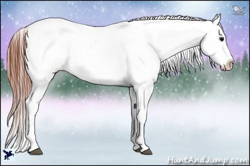 Horse Color:Bay Splash Tobiano Varnish 