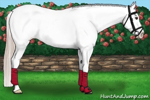 Horse Color:Palomino Varnish