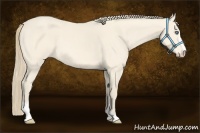 Horse Color:Perlino Sabino