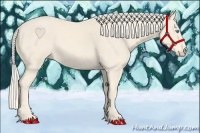 Horse Color:Cremello 