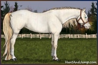 Horse Color:Buckskin Roan Pearl  and Buckskin Roan Pearl Splash 