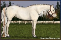 Horse Color:Buckskin Roan Pearl  and Silver Buckskin Roan Pearl 