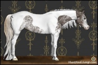 Horse Color:White Spotted Liver Chestnut Tobiano 