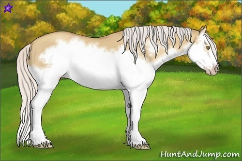 Horse Color:Silver Classic Champagne Dun Splash Frame