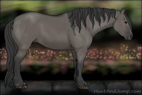 Horse Color:Grullo 